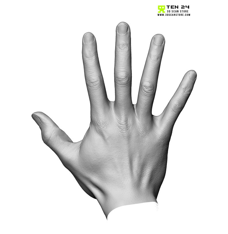 Male Hand 05 Open